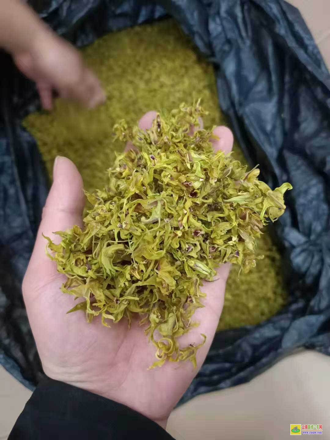 石斛花茶多少錢一斤 霍山石斛花價格 鐵皮石斛花多少錢一兩