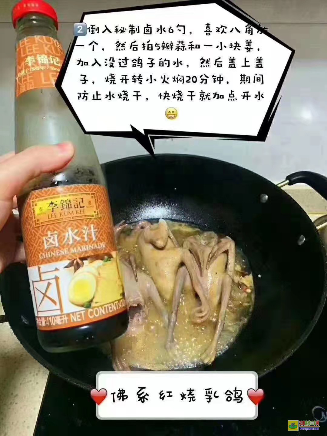 泗水種鴿價格是多少錢一對 目前市場肉鴿價格怎么樣? 肉鴿價格怎么樣