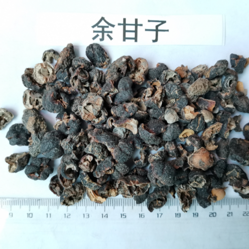 余甘子價格大約多少錢 干余甘子的功效和食用方法