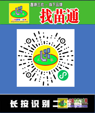 廣州果樹苗批發市場在哪里 盆栽果樹苗批發市場在哪里 微信搜一搜｛找苗通｝小程序