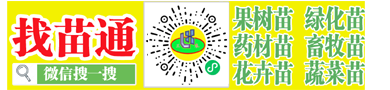 廣州果樹苗批發市場在哪里 盆栽果樹苗批發市場在哪里 微信搜一搜｛找苗通｝小程序