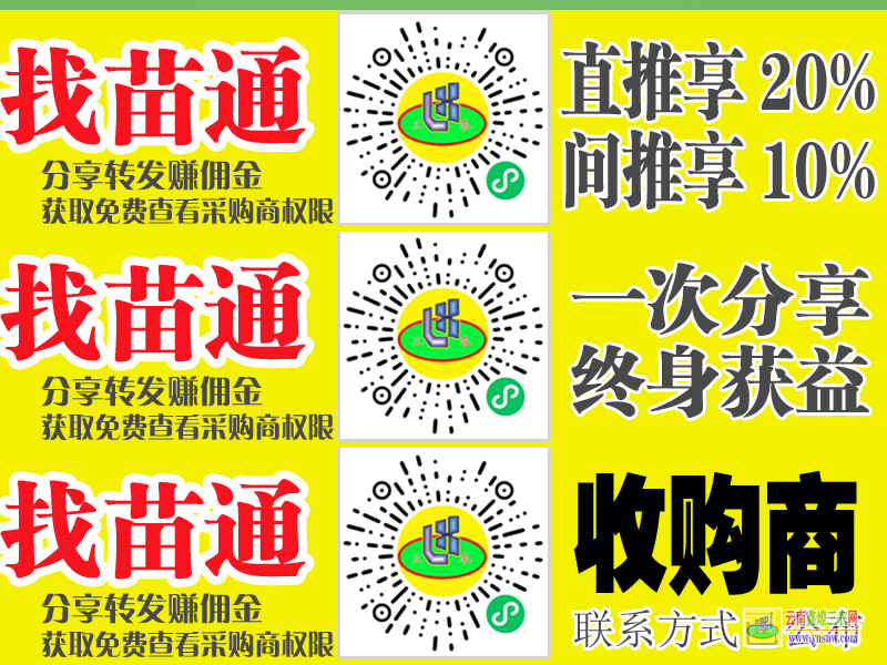 瀘西找果樹苗平臺注冊 蔬菜苗一般在哪里買 微信搜一搜找苗通