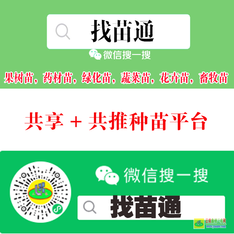 湖北仙桃潛江葡萄苗木平臺 微信搜一搜[找苗通] 藥材苗信息平臺