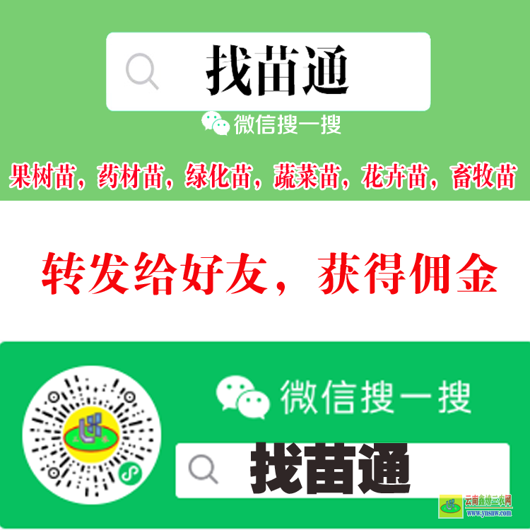 黔西專業(yè)做蔬菜苗平臺 微信搜一搜[找苗通] 云杉苗木交易平臺