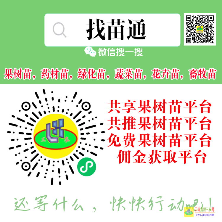 雙江蔬菜苗網(wǎng)上買賣平臺(tái) 微信搜一搜[找苗通] 果樹苗平臺(tái)