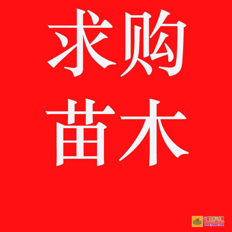 雙江苗木價格一覽表 較好的苗木交易網站 工程急需苗木求購信息