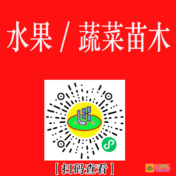 寧洱苗木銷售如何找客戶 大型苗木市場在哪里 工程急需苗木求購信息