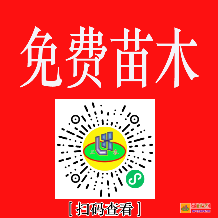 元謀國內大的苗木求購信息網站 上門收購綠化樹木 綠化苗木價格表2020