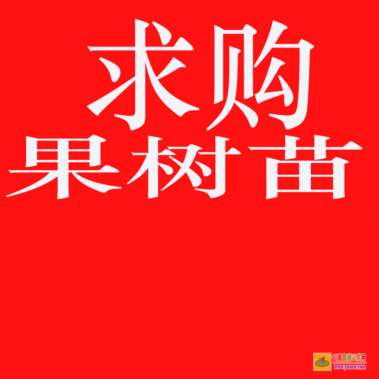 元謀國內大的苗木求購信息網站 上門收購綠化樹木 綠化苗木價格表2020