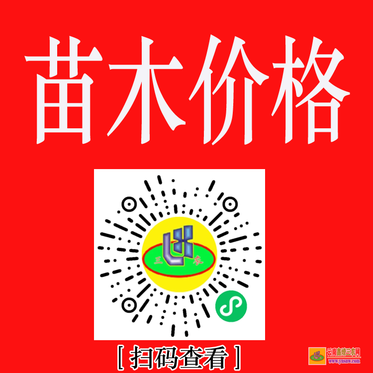 紅河苗木銷售如何找客戶 大型苗木市場在哪里 工程急需苗木求購信息