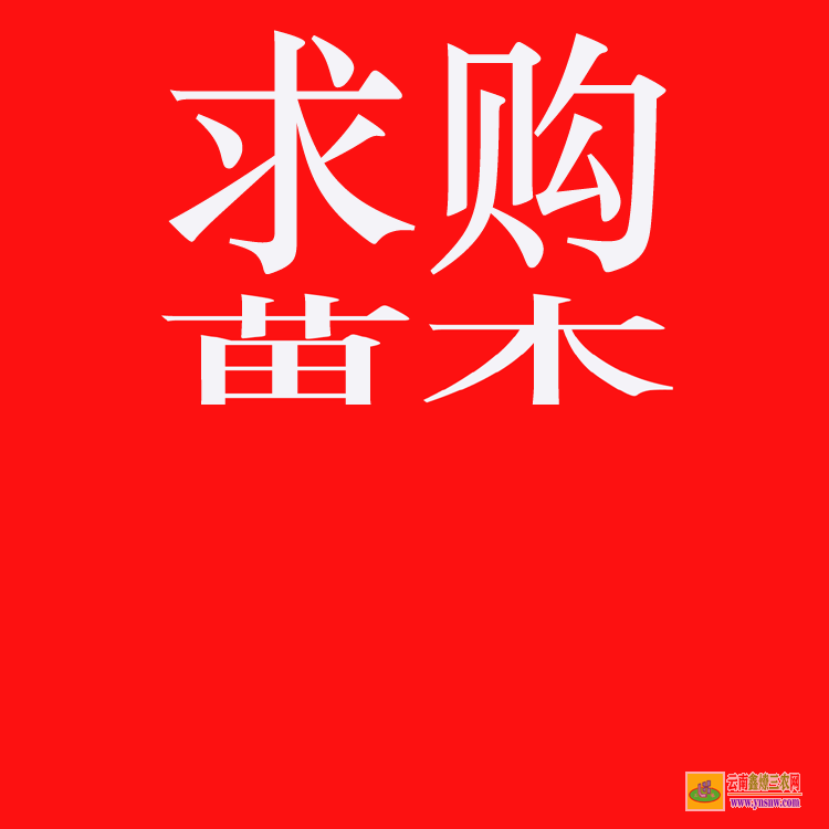 金平苗木銷售如何找客戶 大型苗木市場在哪里 工程急需苗木求購信息