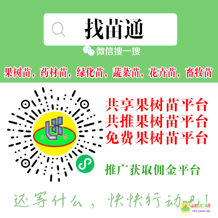 梧州哪里有果樹(shù)苗 陜西蘋(píng)果樹(shù)苗 花果樹(shù)苗