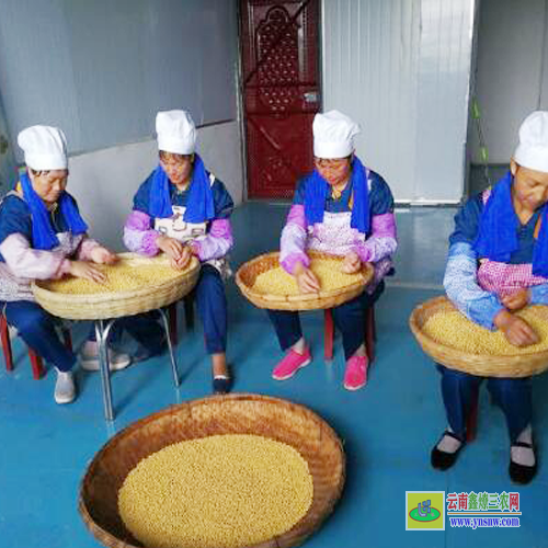 廣東豆腐皮批發廠家| 豆腐皮市場價多少錢一斤| 豆腐皮批發哪里