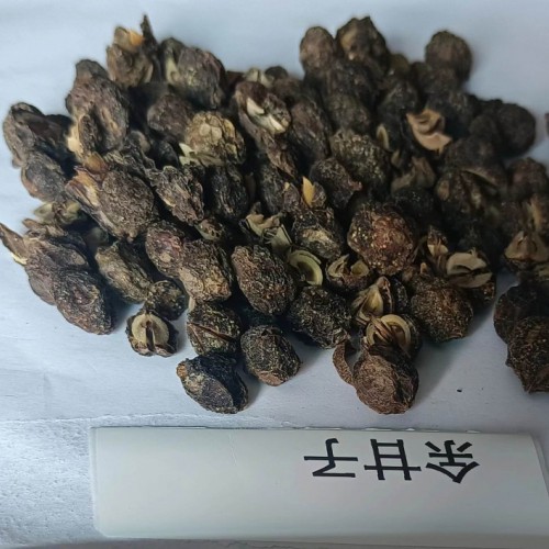 大理大理余甘子產量怎么樣 余甘子產區 余甘子功效