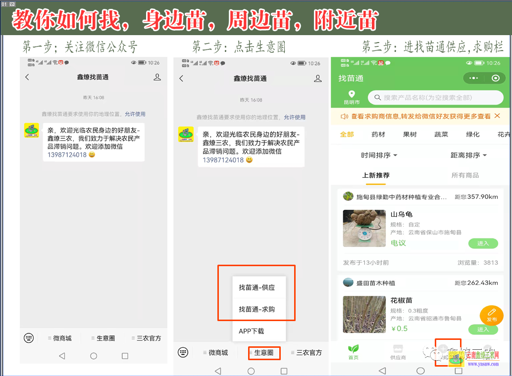 昆明果樹苗多少錢一顆| 蘋果樹苗多少錢一棵 果樹苗木價(jià)格表