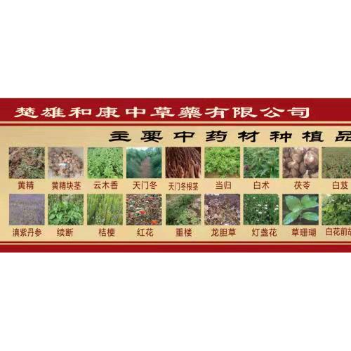 文山文山紅花圖片 2022年紅花價格 2022年紅花行情