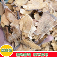 求購虎杖數(shù)量10噸