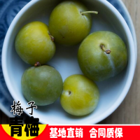 ?大量收購(gòu)鮮梅子，干烏梅