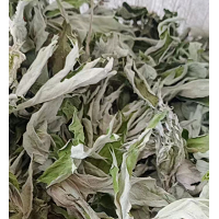 求購艾草干貨