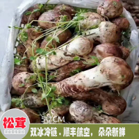 求購姬松茸菌種，數量6畝量