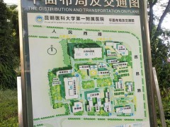 昆明陪診服務 昆明陪診號碼多少 昆明陪診公司有哪幾家圖4